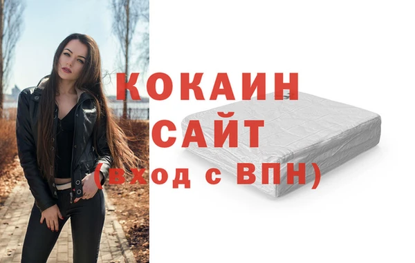 дмт Гусев