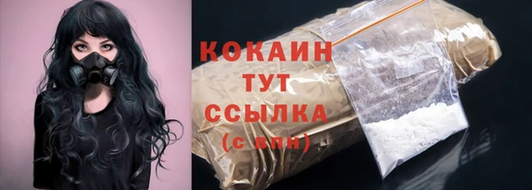 дмт Гусев