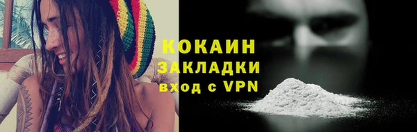 дмт Гусев