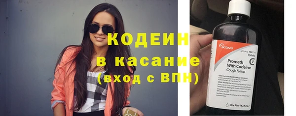дмт Гусев