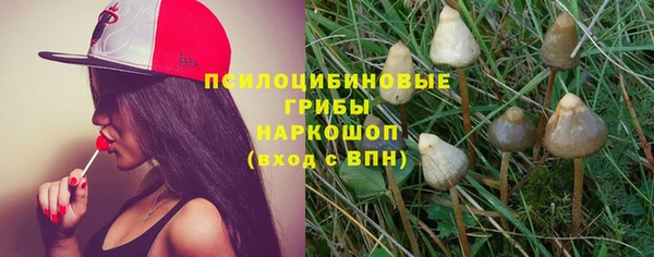 дмт Гусев
