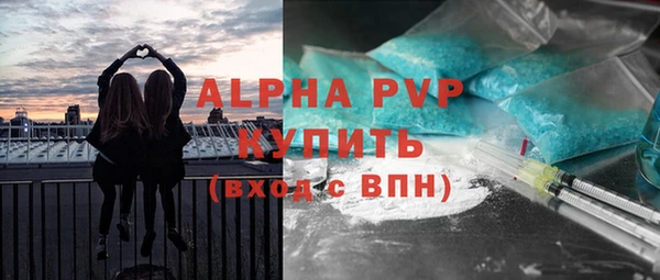 дмт Гусев